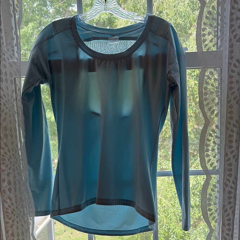 Blue Fitted Long Sleeve Blouse